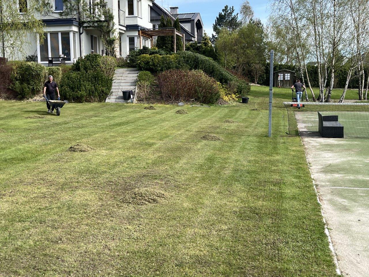 Wertykulacja trawnika - ROMBUD - Zdjęcie 1