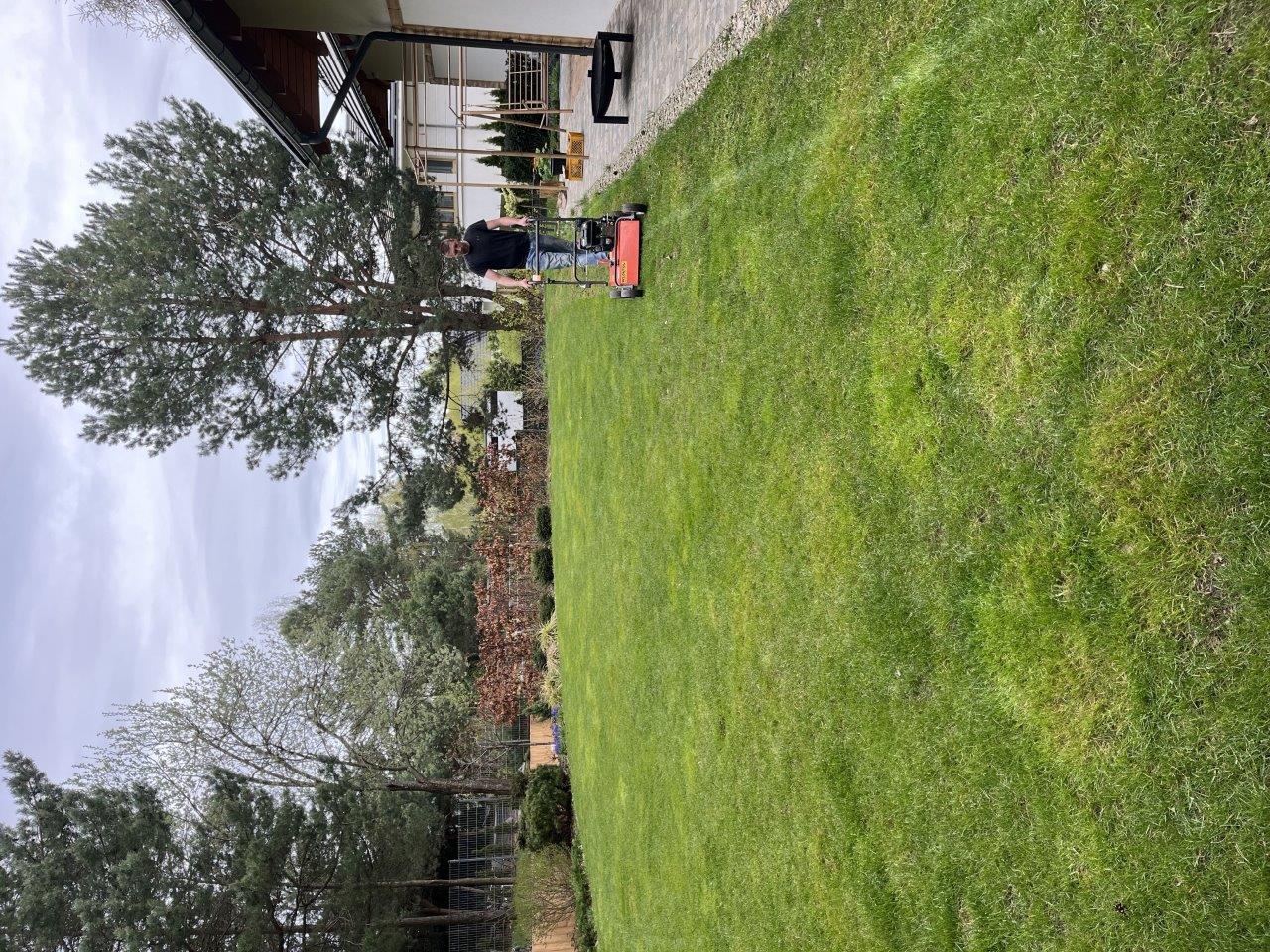 Wertykulacja trawnika - ROMBUD - Zdjęcie 2